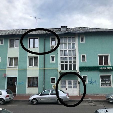 Vintage Apartment Suceava Exterior foto